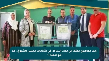زحف جماهيري مكثف إلى لجان الساحل في انتخابات مجلس الشيوخ.. كم بلغ الإقبال؟